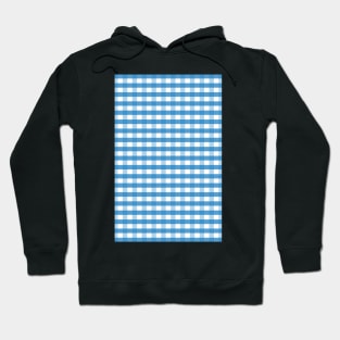 Blue Fabric Texture Hoodie